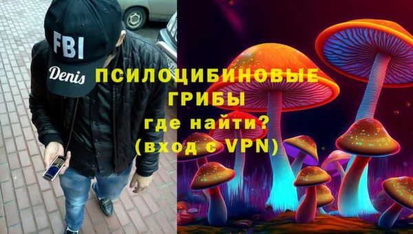 гидропоника Пересвет
