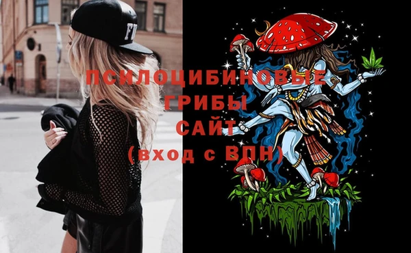 гидропоника Пересвет